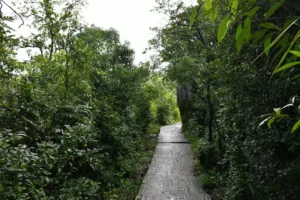 unnamed - 2025-09-21T162153.157